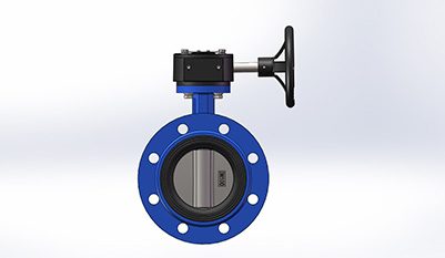 Worm Gear Operated Flange Butterfly Valve